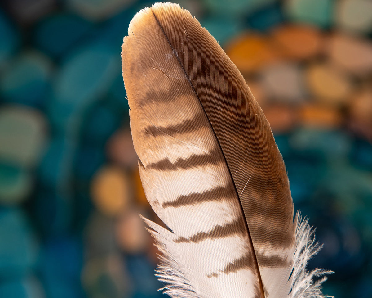 Live Online Workshop: Meeting Your Spirit Guides