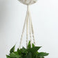 Macrame Plant Hangers