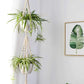 Macrame Plant Hangers